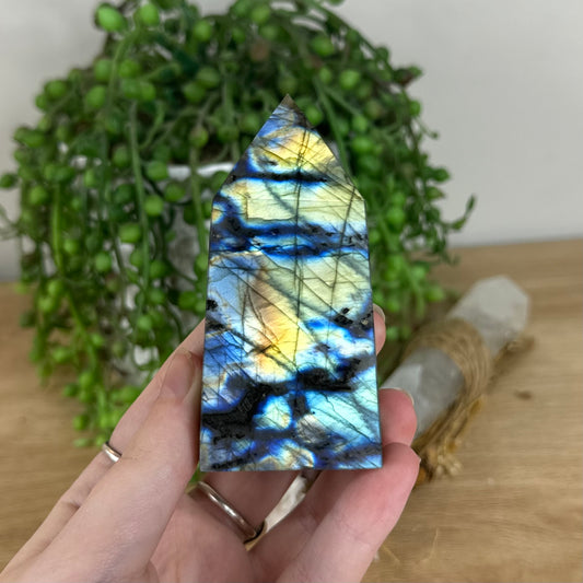 Labradorite Point (P40)