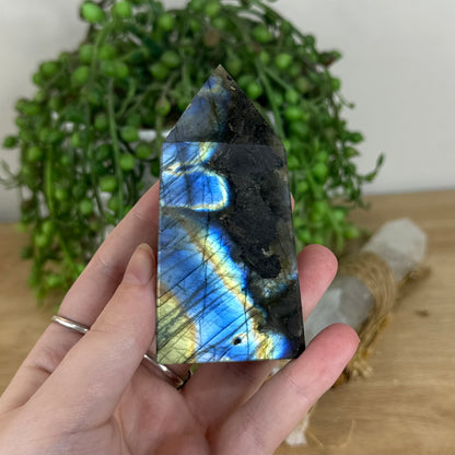 Labradorite Point (P40)