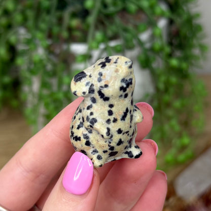 Dalmatian Jasper Mouse (Z498)