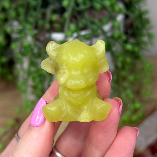 Yellow Jade Sitting Highland Cow (Z516)