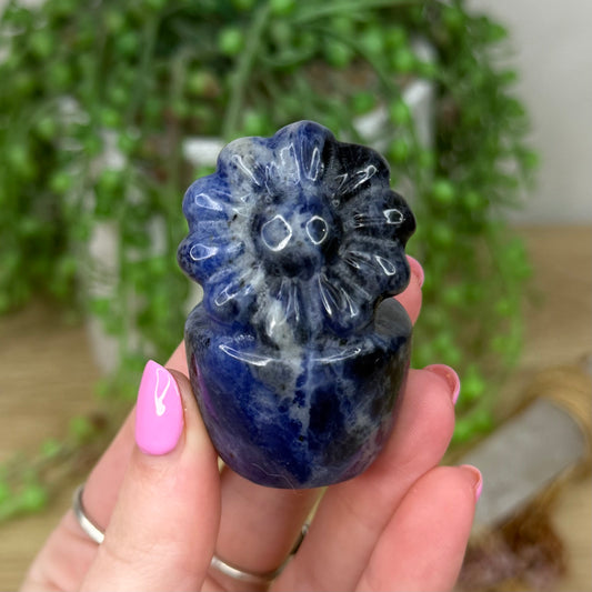 Sodalite Flower Pot (Z456)