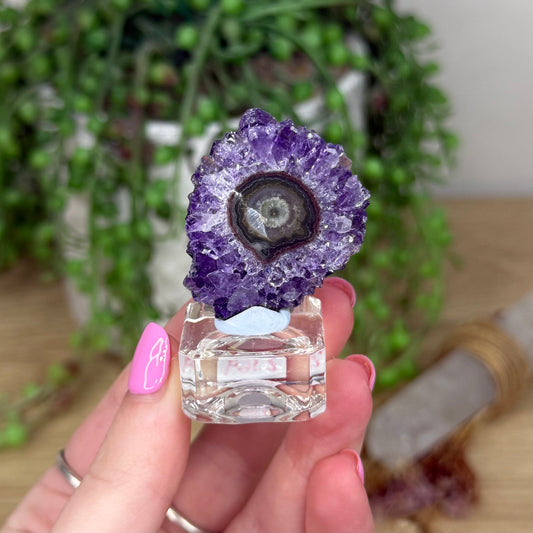 Amethyst Stalactite Slice On Stand (Z369)