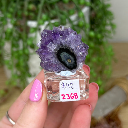 Amethyst Stalactite Slice On Stand (Z368)