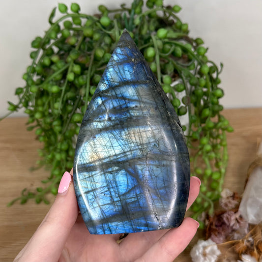 Labradorite Arch Free Form (T982)