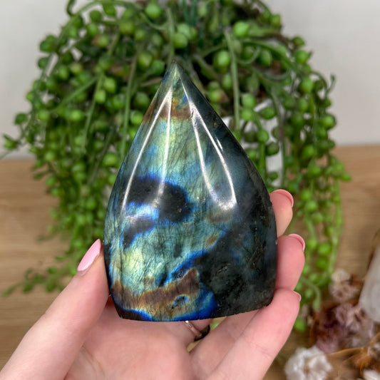 Labradorite Arch Free Form (T981)