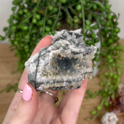 Fluorite / Quartz Cluster (U12)