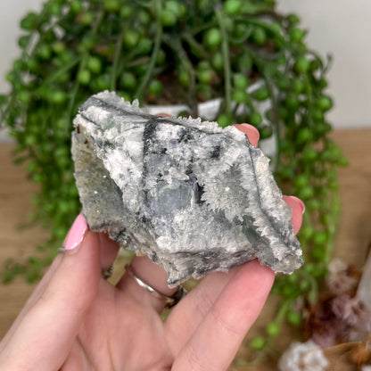 Fluorite / Quartz Cluster (U12)