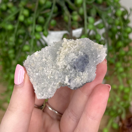 Fluorite / Quartz Cluster (U9)