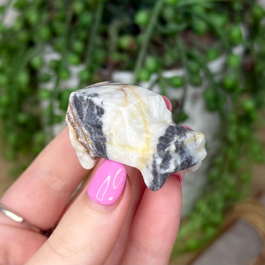 Zebra Jasper Car (Z667)