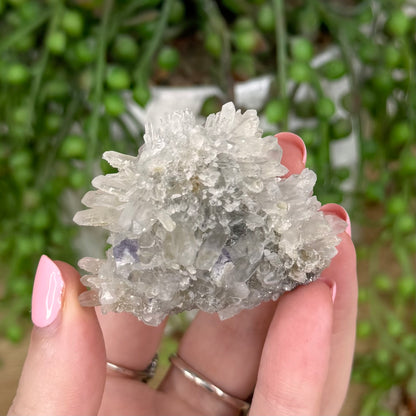 Fluorite / Quartz Cluster (U8)