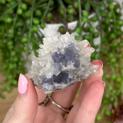 Fluorite / Quartz Cluster (U8)
