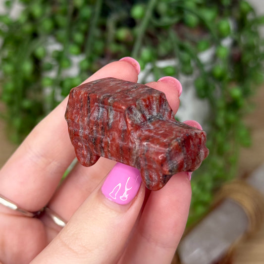 Red Sesame Car (Z673)