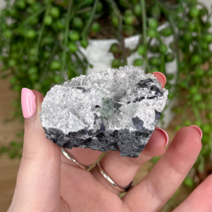 Fluorite / Quartz Cluster (U11)