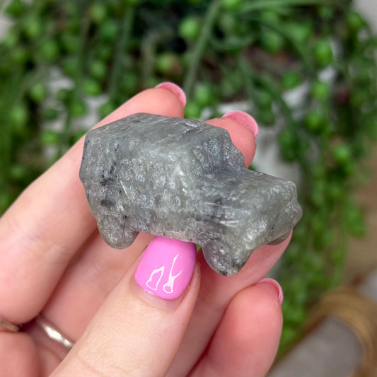 Labradorite Car (Z670)
