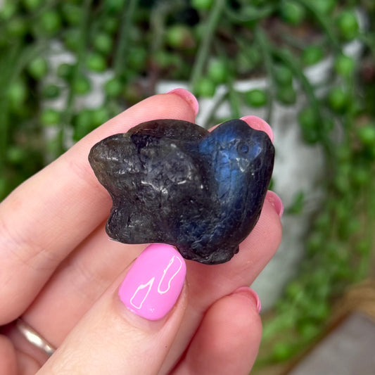 Labradorite Bird (Z651)
