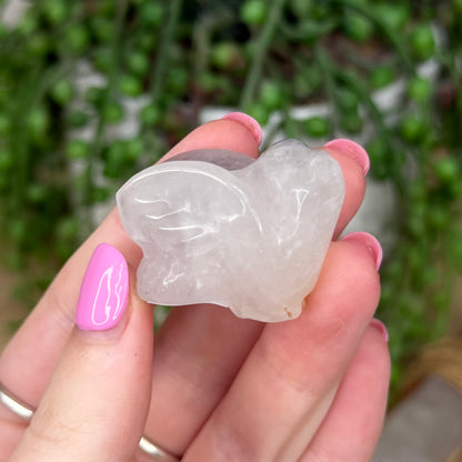 Tourmaline In Quartz Bird (Z650)