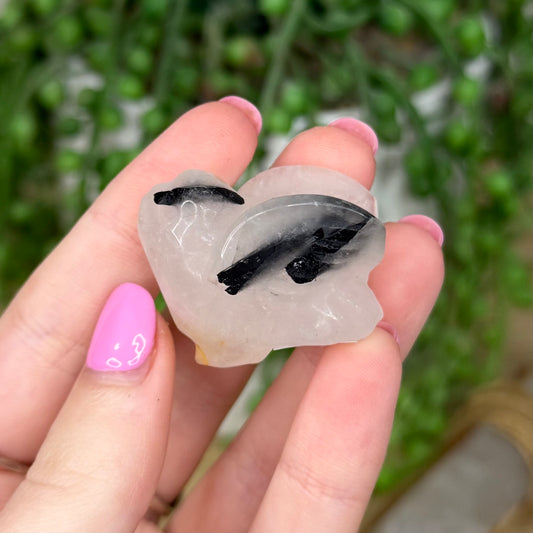 Tourmaline In Quartz Bird (Z650)