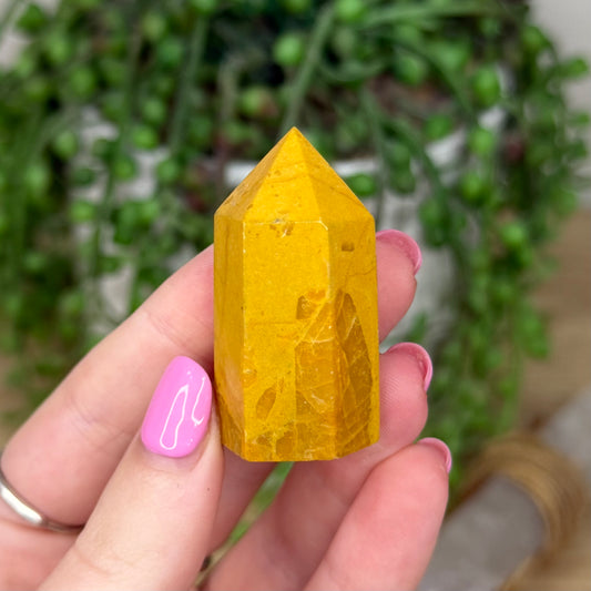 Yellow Mudstone Point (Z311)