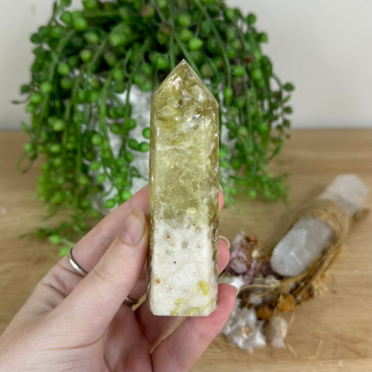 Golden Mica Point (P264)