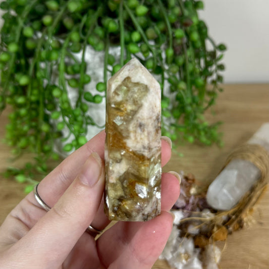 Golden Mica Point (P262)