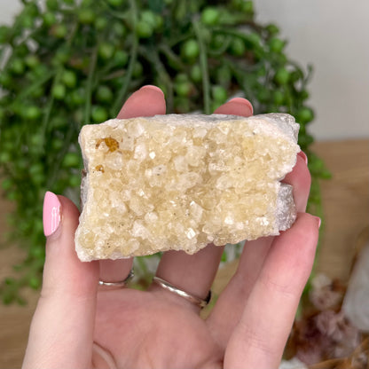Citrine Cluster (I785)