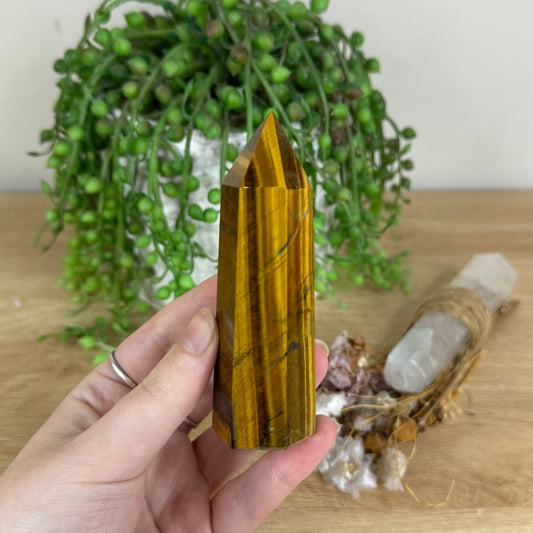 Tiger Eye Point (P216)