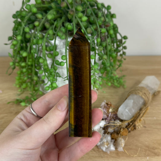 Tiger Eye Point (P212)
