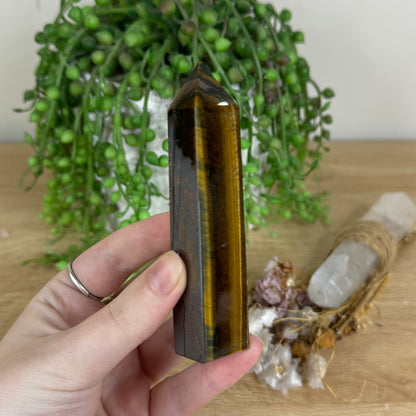Tiger Eye Point (P212)