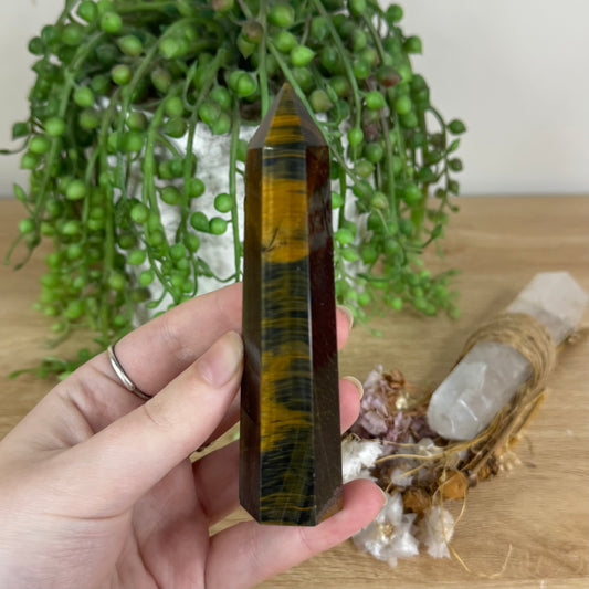 Tiger Eye Point (P215)