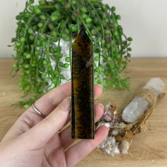 Tiger Eye Point (P214)
