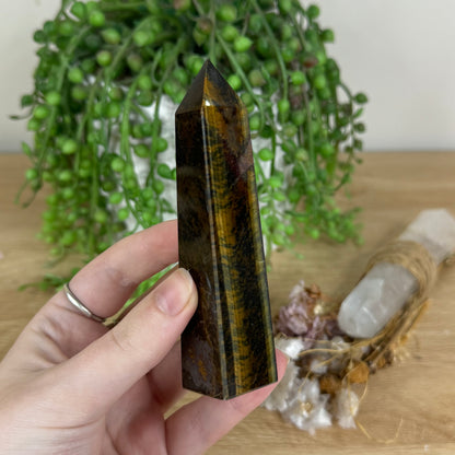 Tiger Eye Point (P214)