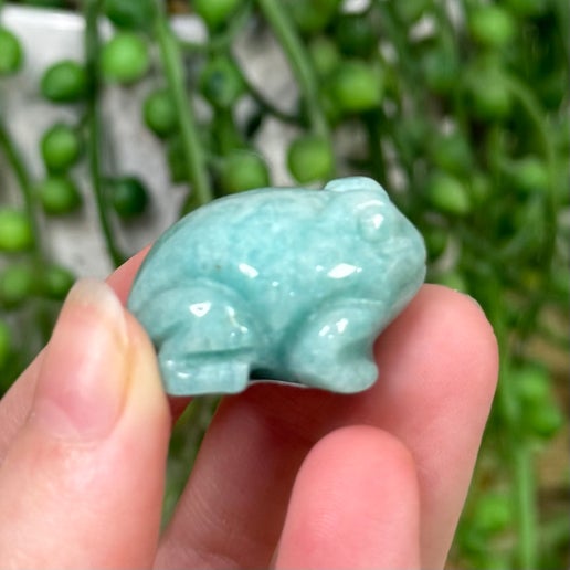 Amazonite Frog (I707)