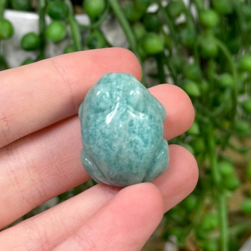 Amazonite Frog (I707)