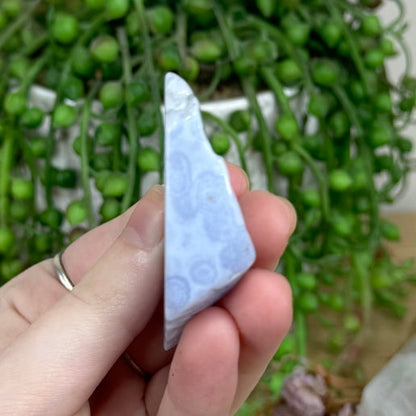 Blue Lace Agate Slice (M60)