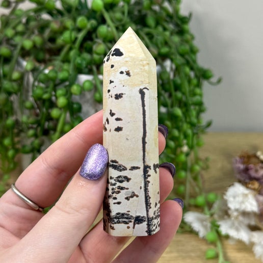 Picture Stone Jasper Point (B127)