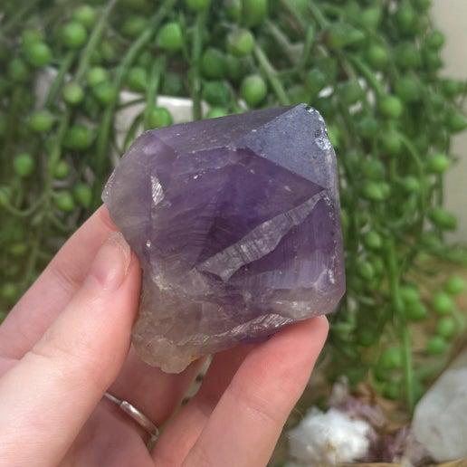 Amethyst Root (J729)