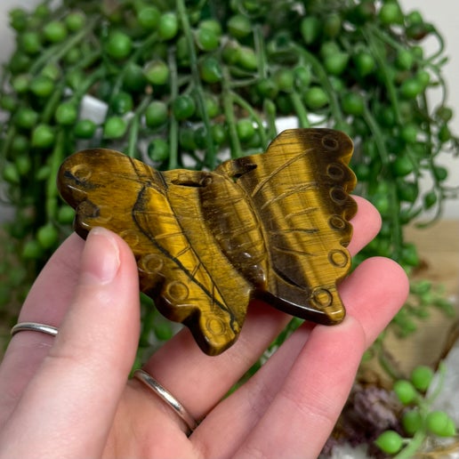 Tiger Eye Butterfly (I242)