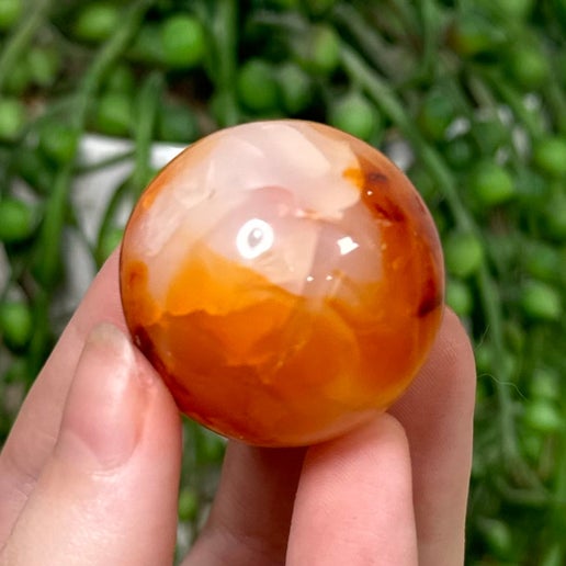 Carnelian Sphere 10