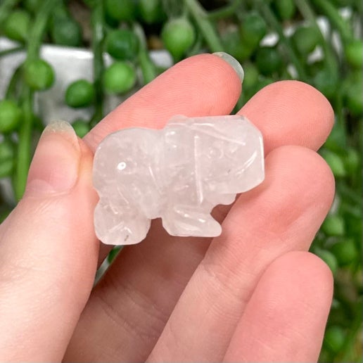 Clear Quartz Small Elephant