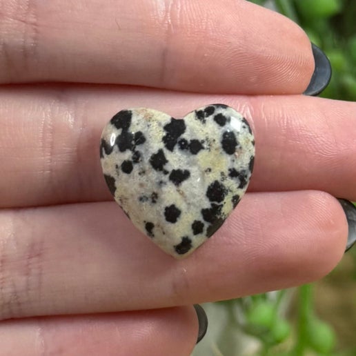 Dalmatian Jasper Mini Heart