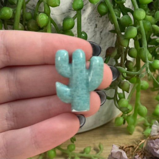 Amazonite Small Cactus