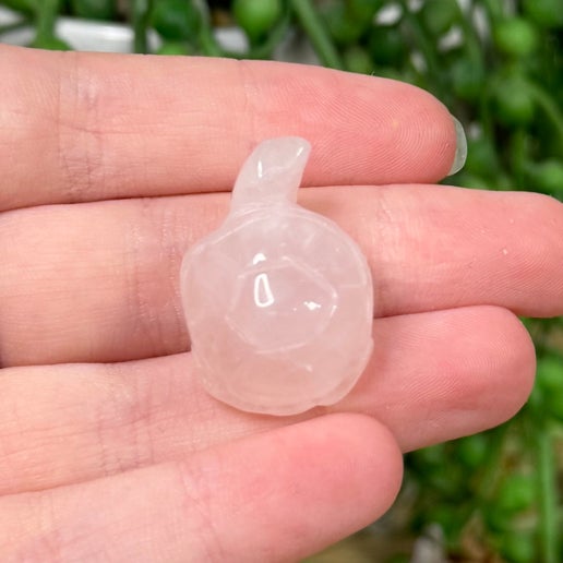 Rose Quartz Mini Turtle