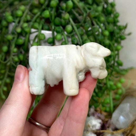 Caribbean Calcite Cow (E312)