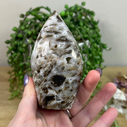 Sphalerite Arch Free Form (H456)