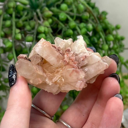 Red Phantom Quartz Cluster (I687)