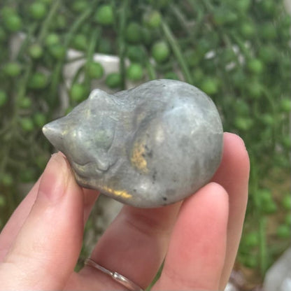 Labradorite Sleeping Cat (E22) (E20)