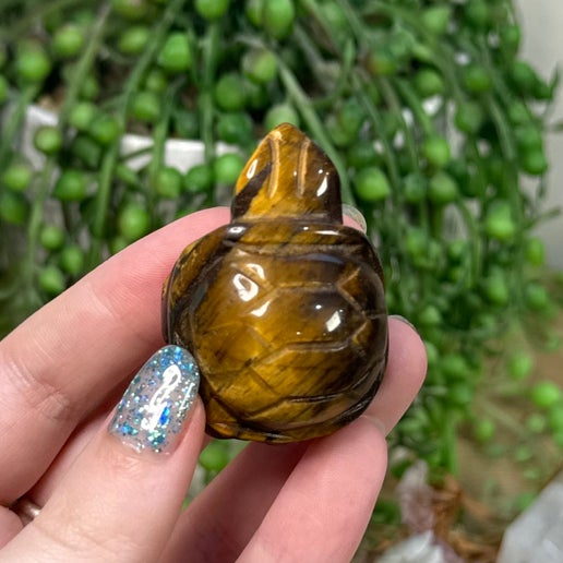 Tiger Eye Turtle (C391) (H913)