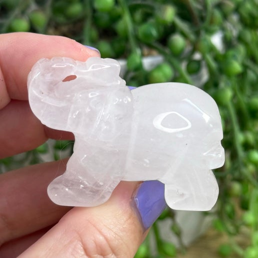 Clear Quartz Elephant (I508)