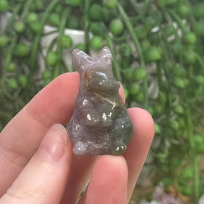 Ocean Jasper Bunny (G316)