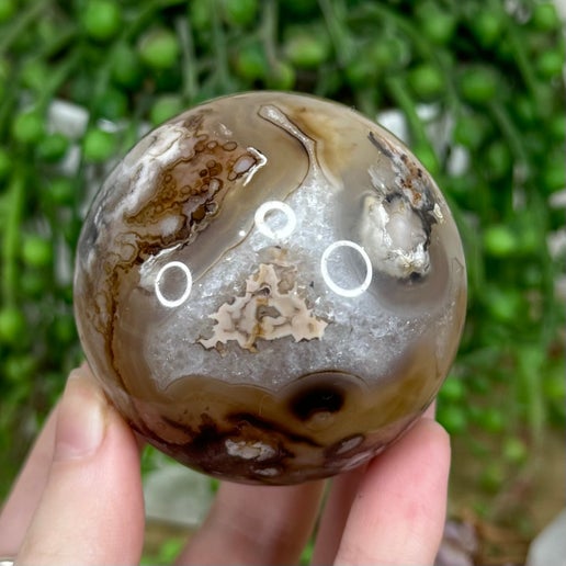 Black Flower Agate Sphere (M84)